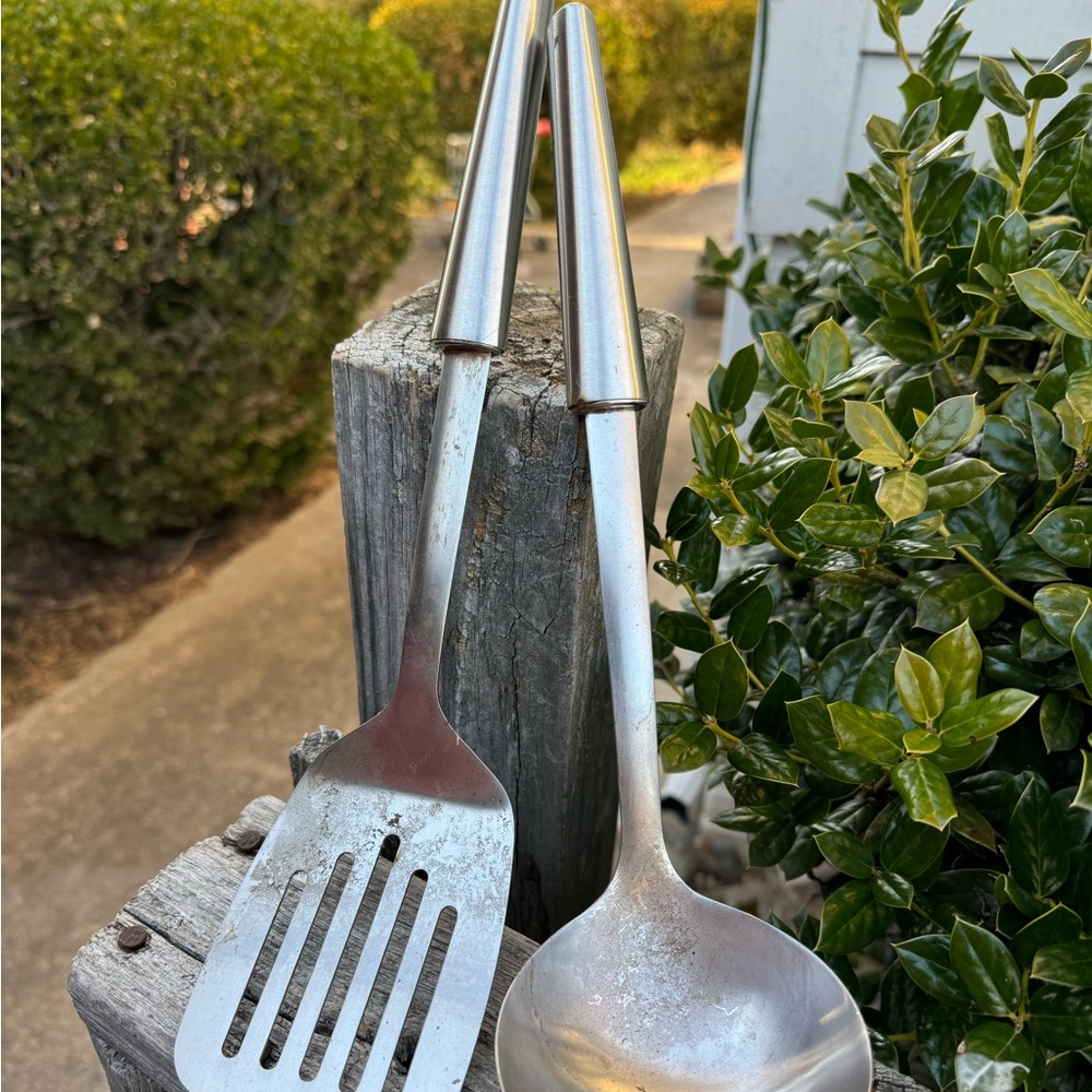 Stainless steel spatula and dipper